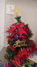 TaTanice 圣誕樹(shù)40cm 圣誕樹(shù)套餐裝飾擺件帶燈串圣誕節酒店商店裝飾品 曬單實(shí)拍圖