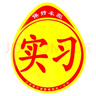 山頭林村實(shí)習車(chē)貼磁吸新手上路車(chē)貼紙車(chē)用女司機實(shí)習牌反光汽車(chē)實(shí)刁車(chē)標志 磁吸式實(shí)習車(chē)貼-15.5*18.5cm 曬單實(shí)拍圖