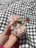 默研（MOYAN）2025春季新款甜美帶葉牡丹花網(wǎng)紗立體燒邊花朵山茶花手工發(fā)夾發(fā)飾 粉色 曬單實(shí)拍圖