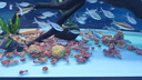 老漁匠造浪泵老魚(yú)匠魚(yú)缸環(huán)流泵魚(yú)缸造浪吹糞器10W 【四代】5000L（適合0.6米）單頭 曬單實(shí)拍圖