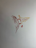 不要動一只蝸牛（第三屆接力杯金波幼兒文學(xué)獎金獎作品） 曬單實拍圖