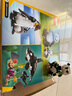 樂高（LEGO）2025年新款創(chuàng)意百變系列拼搭玩具積木男孩女孩兒童生日禮物 7歲+ 31165 野生動物熊貓家族 曬單實(shí)拍圖