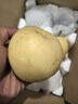 河北皇冠梨辛集皇冠梨龍華梨 凈重3斤裝（單果200g+） 曬單實(shí)拍圖