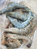鮮馳 黑虎蝦 超大新鮮大蝦老虎蝦鮮活虎蝦基圍蝦特大速凍海鮮年貨送禮特大黑虎蝦 1000g(凈重)  21-23cm 曬單實(shí)拍圖