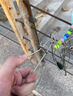 羚特活魚扣套裝 路亞鎖魚扣鎖魚器路亞魚鎖浮漂鎖路亞鎖魚具釣魚用品 5米/小扣6枚裝【小黃鴨款】 曬單實(shí)拍圖