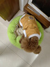 嬉皮狗（hipidog）狗狗衣服新年春節加絨保暖可牽引馬甲中小型犬比熊寵物貓咪喜慶服 黃色 L（建議體重8-11斤） 曬單實(shí)拍圖