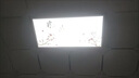 古鎮(zhèn)燈具廚房燈扣板燈300x600中山燈具衛(wèi)生間集成吊頂平板燈嵌入式鋁扣板 花開富貴-金框 300*600高亮28.w 曬單實拍圖