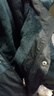 保羅歌仕頓棉服男士秋冬季加絨加厚防寒沖鋒衣工作連帽大碼外套夾克棉服男裝 20210/FGT888黑色 2XL 曬單實(shí)拍圖