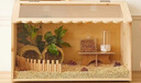 寵麗安蘆丁雞專用屋籠子大號專用飼養(yǎng)箱全套育雛箱別墅造景多用恒溫箱 60*40恒溫一體天窗款5-7只 曬單實拍圖