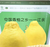 趣覓鮮江永香柚純甜沙田柚湖南永州特產(chǎn)正宗農家老樹(shù)柚子白肉新鮮水果 4個(gè)大果禮盒裝9斤 曬單實(shí)拍圖