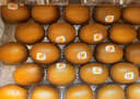 佳沛（zespri）新西蘭進(jìn)口佳沛陽(yáng)光金奇異果佳沛金果黃金獼猴桃大果黃心禮盒 25-27枚原箱  單果124-146g 曬單實(shí)拍圖