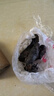 子豪緣荷花蓮藕養(yǎng)魚養(yǎng)蝦水芙蓉水草水生大葉浮萍室內(nèi)庭院池塘水培植物 迷你睡蓮根塊2個 曬單實拍圖