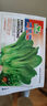 播種心情 家庭種植蔬菜種子孑籽大全四季播種陽(yáng)臺盆栽農家庭院小菜園有機 四季雞毛菜種子2包 曬單實(shí)拍圖