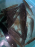 化氏（HUA）赤煉餌料冬季高蛋白高穿透魚餌料鯽魚餌料濃腥深海元素鯉魚 赤煉2包裝 曬單實(shí)拍圖