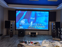 depusheng PS12專業(yè)12英寸ktv舞臺(tái)音箱酒吧婚慶演出會(huì)議室工程音響套裝樺木夾板 12寸工程樺木夾板音箱（單只） 曬單實(shí)拍圖