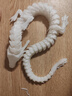 迪柏瑞夜光龍3d玩具兒童玩偶創(chuàng  )意禮物關(guān)節可動(dòng)趣味水晶龍擺件 60CM夜光彩虹龍【高品質(zhì)PLA】 吸收紫外線(xiàn)變成紫光 曬單實(shí)拍圖