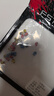 福斯特福斯特路亞包膠咬鉛子線(xiàn)夾鉛不傷線(xiàn)磯釣臺筏釣魚(yú)鉛墜包膠開(kāi)口咬鉛 福斯特包膠咬鉛G1*25枚/袋 曬單實(shí)拍圖