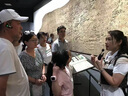 比西特?zé)o線講解器一對多政企接待企業(yè)高端會議培訓(xùn)工廠參觀同聲傳譯博物館導(dǎo)覽景區(qū)頻顯式團(tuán)隊(duì)講解器設(shè)備 1發(fā)射機(jī)+10接收+10位座充+收納箱 曬單實(shí)拍圖