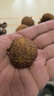 白地田荔枝干廣東高州特產(chǎn)新貨凈含量500g/袋精選帶殼桂味荔枝核小肉厚 曬單實(shí)拍圖