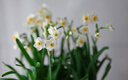 思銳（SIRUI）曙光AF85mm F1.4全畫(huà)幅自動(dòng)對焦鏡頭靜馬達適用于E/Z/X/L卡口大光圈人像定焦鏡頭 尼康Z卡口（咨詢(xún)客服領(lǐng)優(yōu)惠） 曬單實(shí)拍圖