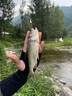 達瓦逐鹿微物路亞竿馬口白條碳素超軟溪流竿全套釣魚(yú)裝備UL L調翹嘴套裝 1.5米 UL直柄紡車(chē)輪套裝 曬單實(shí)拍圖