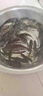 麝香酒官方正品魚(yú)誘釣魚(yú)產(chǎn)品釣餌魚(yú)餌料鯽魚(yú)鯉魚(yú)草魚(yú)鰱鳙四季小藥 四季通用【麝香酒1瓶】金版 曬單實(shí)拍圖