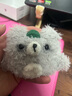 鑒百伊 airpodspro2保護套毛絨airpods3代保護殼蘋果無線藍(lán)牙耳機套硅膠軟殼可愛卡通 【毛絨款 灰色 綠包小熊】軟殼 蘋果 AirPods Pro2（第二代） 曬單實拍圖