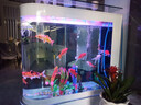 華康子彈頭魚(yú)缸小型家用一體2025新款免換水懶人玄關(guān)屏風(fēng)隔斷水族箱 A款銀拉絲 長(cháng)100*寬40*高138cm 曬單實(shí)拍圖
