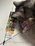 all for paws仿真昆蟲逗貓棒 貓咪玩具耐咬抖貓自嗨替換頭耐啃咬解悶神器 昆蟲組合逗貓棒-3根裝 曬單實拍圖