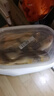 鹿凌青 新鮮梅童魚(yú) 海捕大梅童 冷凍大頭寶 獅頭魚(yú) 梅子魚(yú) 海產(chǎn)海鮮魚(yú)類(lèi) 【鮮凍梅童魚(yú)】2斤(22-26條/斤) 曬單實(shí)拍圖