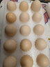 小雞國農場(chǎng)新鮮雞蛋60枚橙蛋黃整箱土雞蛋無(wú)腥口感醇香營(yíng)養蛋無(wú)抗笨雞蛋 【30枚】谷物鮮蛋 嘗鮮 曬單實(shí)拍圖