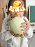 京鮮氣山東玉菇甜瓜新鮮水果當(dāng)季香瓜冰淇淋脆甜哈密香瓜整箱禮盒 精選果2枚【禮盒款】 曬單實拍圖