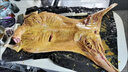 鮮七星羊肉整只新鮮現(xiàn)殺寧夏灘羊羔羊肉送禮 紅燒烤羊肉全羊禮盒 全羊整只約10-12斤 曬單實(shí)拍圖