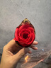法蔻 FARCOKOLOVE雙環(huán)項鏈女鎖骨頸鏈玫瑰金吊墜時(shí)尚彩金生日禮物送女友老婆 LOVE項鏈 曬單實(shí)拍圖