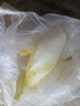 綠食者 新鮮玉蘭菜500g 金玉蘭苦白菜菊苣比利時(shí)芽球蔬菜 西餐沙拉食材 曬單實(shí)拍圖