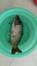 久巖主線盒大容量釣魚線組盒多功能子線盒垂釣用品配件魚線收納盒 【黃色】四軸-主線盒 曬單實拍圖