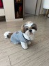 寵德多狗狗衣服貓衣服寵物衣服貓咪衣服小型犬幼犬毛衣保暖冬季 灰色 XXL（建議體重15-20斤） 曬單實(shí)拍圖