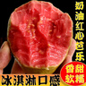 甜野里福建紅心芭樂(lè )軟糯番石榴5斤白心軟芭樂(lè )冰淇淋口感胭脂紅送禮水果 5斤甄選老樹(shù)紅芭樂(lè )【凈重4.5斤】 【JDL冷鏈速運】 曬單實(shí)拍圖