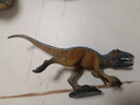林暢模玩白堊紀恐龍玩具傷齒龍模型實(shí)心兒童仿真史前動(dòng)物套裝男孩認知擺件 傷齒龍【生存年代：白堊紀】 曬單實(shí)拍圖