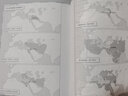 【新華書店正版】 耶路撒冷三千年(精) (英)西蒙·蒙蒂菲奧里 青年(14-20歲),普通成人 世界史 曬單實拍圖