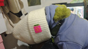 貝初眾狗狗衣服冬天小型犬雪納瑞泰迪法斗柴犬博美衛衣保暖小狗衣服 綠耳朵潮款衛衣 L 建議8-11斤 曬單實(shí)拍圖