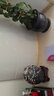 維諾亞腰線(xiàn)3d立體墻貼自粘踢腳線(xiàn)貼紙花板墻角線(xiàn)邊框封邊條裝飾地腳線(xiàn) 大 雕花腰線(xiàn)黃龍玉長(cháng)2.3米*8厘米 曬單實(shí)拍圖