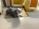 無(wú)印良品（MUJI）雙層紗織 寵物襯衫 寵物用品 寵物家居服小型犬適用 藏青色格紋 M 曬單實(shí)拍圖