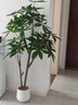 未歐發(fā)財樹仿真綠植高端輕奢室內(nèi)盆栽假花客廳裝飾樹落地擺件仿生植物 1.6米恭喜發(fā)財【+白色圓盆】 曬單實拍圖