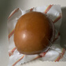 天福號【老北京松仁小肚250g】東北松子傳統(tǒng)風(fēng)味熟食涼菜即食老字號豬肉 松仁小肚1顆(低溫真空) 曬單實拍圖