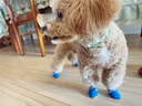 憨憨寵 寵物狗狗襪子 狗狗鞋子子小型犬泰迪小狗防滑防磨腳冬季保暖襪子 襪子藍(lán)灰小熊款 L號(hào) 曬單實(shí)拍圖