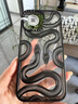 CASETIFY 黑色大王蛇防摔手機殼適用于iPhone15promax透明黑框 曬單實拍圖