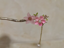 GOTOVAN中秋古風(fēng)桃花流蘇發(fā)簪女新中式旗袍發(fā)釵后腦勺高級感盤(pán)發(fā)簪子漢服 粉色桃花發(fā)簪【贈眉心貼】 曬單實(shí)拍圖