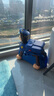 汪汪隊(duì)立大功（PAW PATROL）旅行箱兒童騎行行李箱三用可坐可拖拉可拆卸背包生日禮物 阿奇騎行旅行箱 曬單實(shí)拍圖