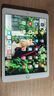 品勝（PISEN）適用ipad電池mini2大容量ipad6蘋(píng)果ipadpro平板pro10.5更換12.9air耐用9.7平板電池mini4到店安裝 【ipad Air2 】7340mAh 自行安裝 曬單實(shí)拍圖